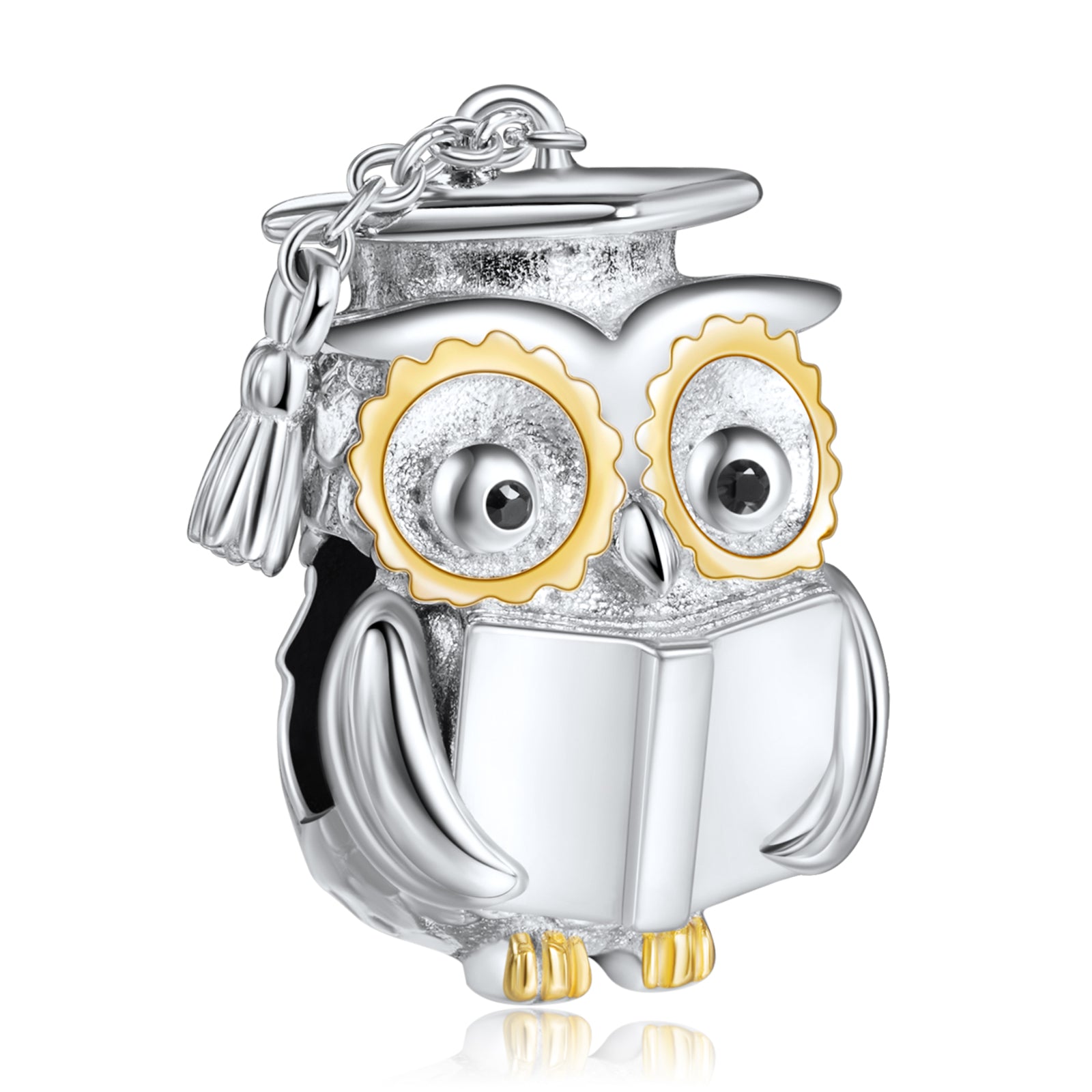 Wise Owl Graduation Charms